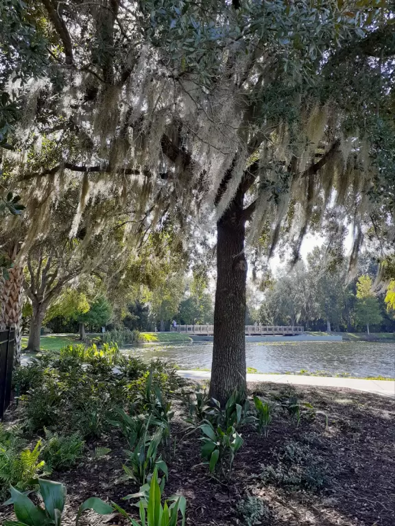 A wonderful running/walking path leads through jungly vegetation around three lakes.