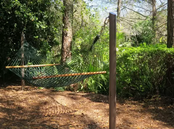Two resorts that look like New Orleans, plus the lovely walking path along the river that runs between them.