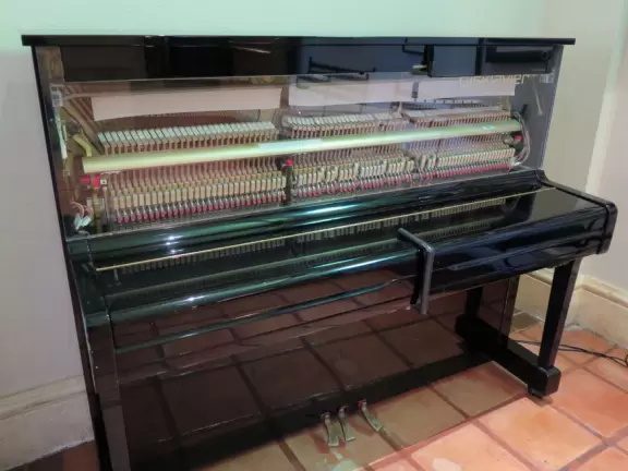 Two resorts that look like New Orleans, plus the lovely walking path along the river that runs between them.