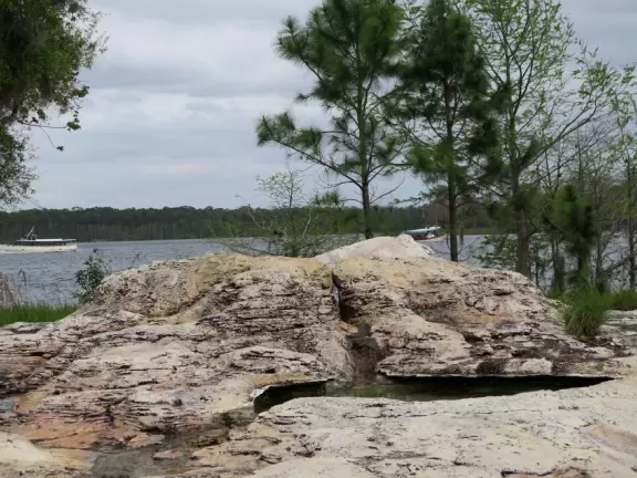 Walk the impressive lobby and forested grounds of the Wilderness Lodge, then catch the boat over to Contemporary Resort.