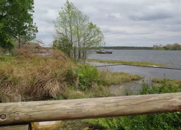 Walk the impressive lobby and forested grounds of the Wilderness Lodge, then catch the boat over to Contemporary Resort.