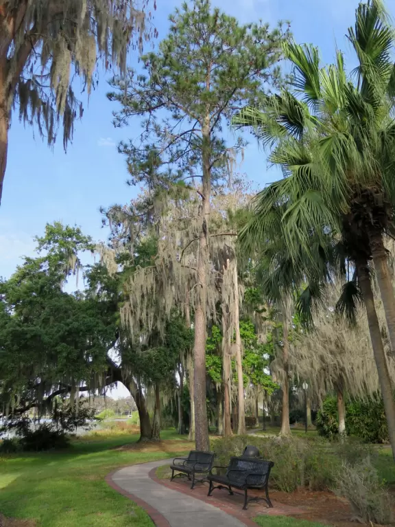 Beautiful park with lake, incredible cypress trees, playground, gazebos, winding trails, and 1920s mansion.