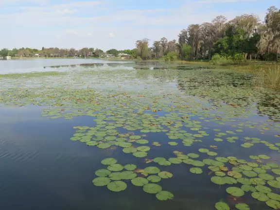 Beautiful park with lake, incredible cypress trees, playground, gazebos, winding trails, and 1920s mansion.