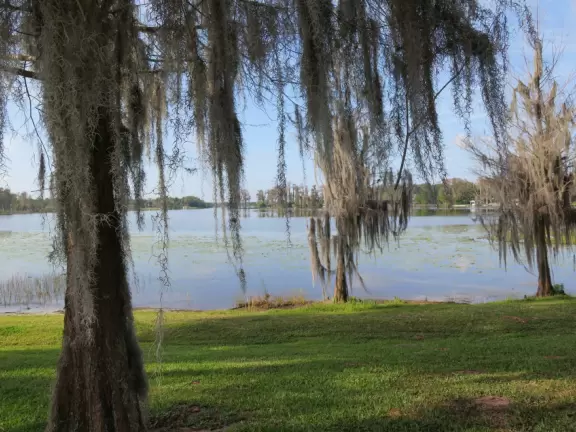 Beautiful park with lake, incredible cypress trees, playground, gazebos, winding trails, and 1920s mansion.