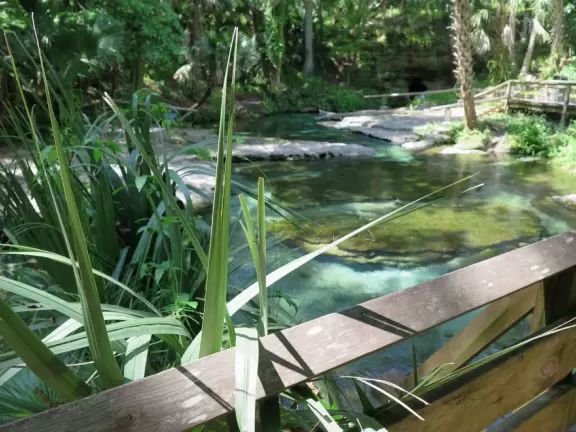 Incredible natural lazy river and swimming pool- crystal clear!