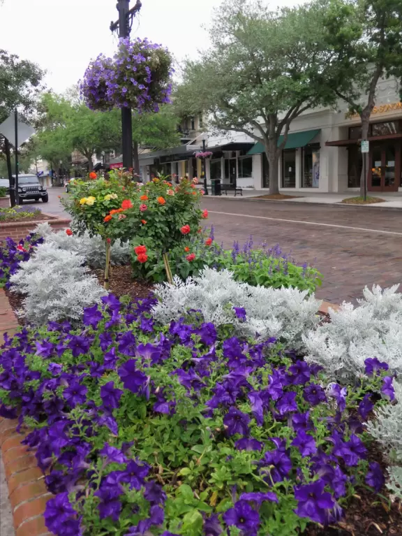 Gorgeous main street with large, European-style park where people sit on the grass by the fountain.