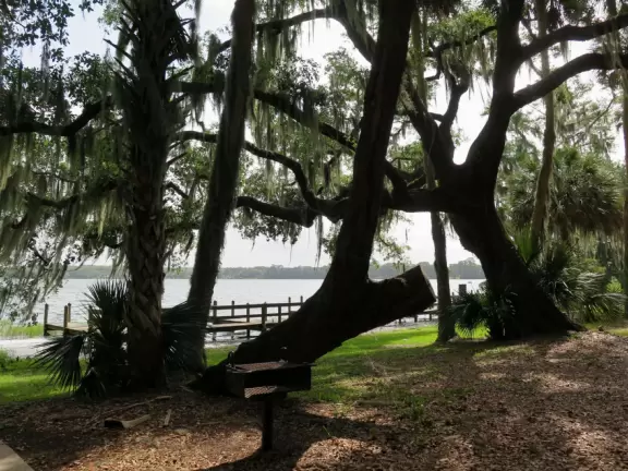 Beautiful park with lush trees on a lake.