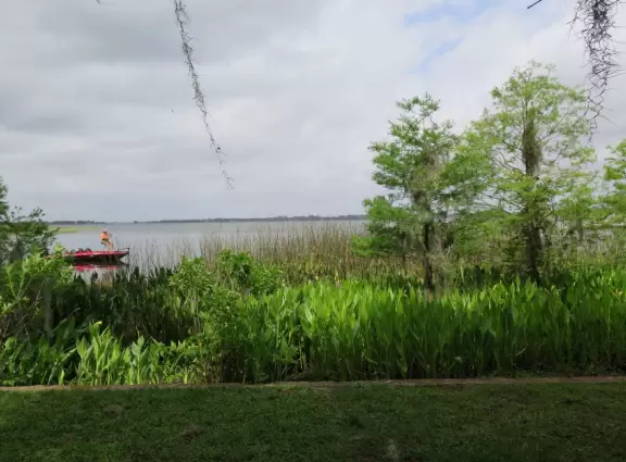 Lovely land jutting out on Lake Dora, with a lighthouse and walking paths.