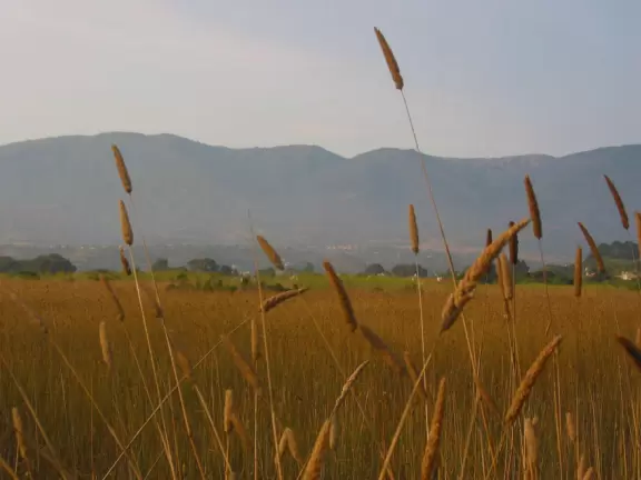 Almost unknown cliff walk and nudist beach, secluded and pretty.