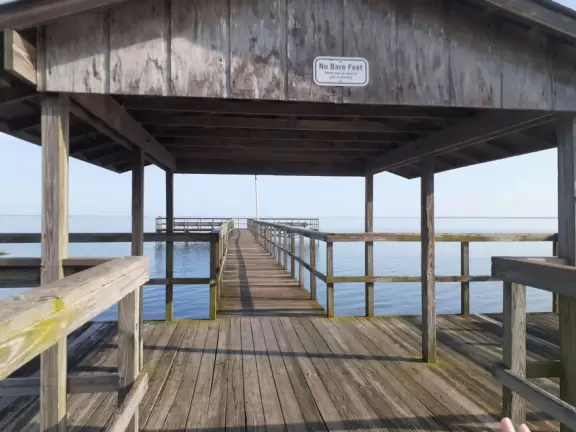 Wonderful park on Lake Apopka, with wildlife galore, including baby alligators.