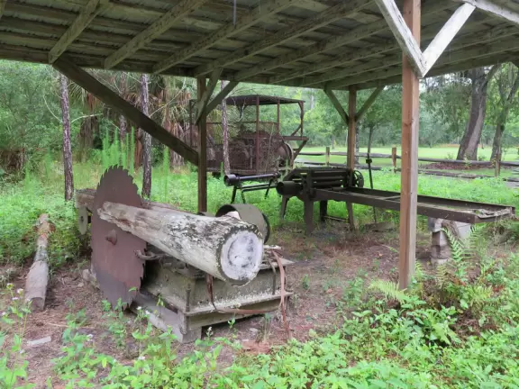 Shady, wooden boardwalk through gorgeous swamp on wide, emerald green Shingle Creek.
