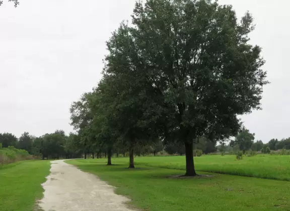 Cute collection of historic buildings, plus miles of walking trails by the creek.