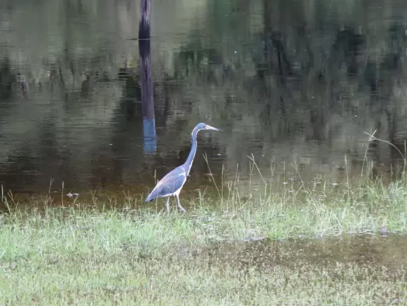 Cute collection of historic buildings, plus miles of walking trails by the creek.