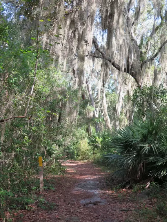 Shady white sand walking trails, and a dock on the Crooked River, with cute cypress trees and wildflowers along the path.