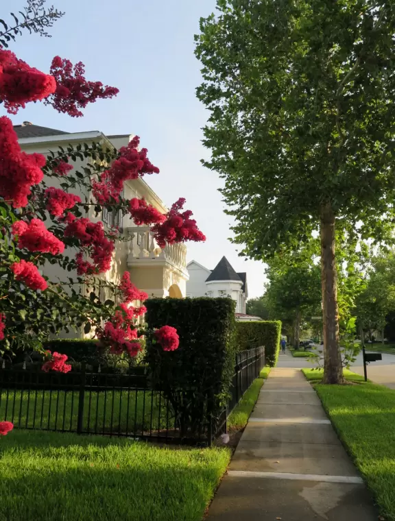 Pleasant walk along the golf course, past pretty houses with gardens, mansions, canals, ducks, bridges, and places to eat.