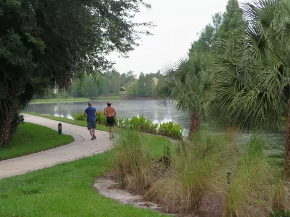 Fantastic shady walk past three lakes, mansions, wildlife, and Celebration Town Center.