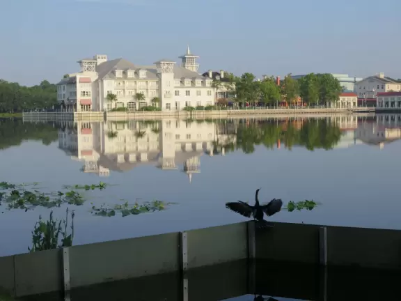 Fantastic shady walk past three lakes, mansions, wildlife, and Celebration Town Center.