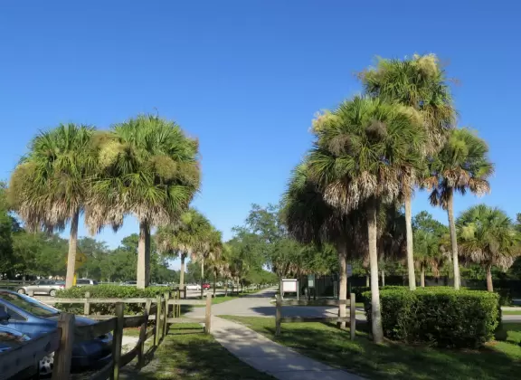 Popular park for biking and fishing, with a river and small dam.