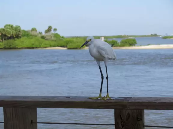 Shady boardwalk to enjoy a breeze off the water.