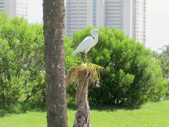 Shady boardwalk to enjoy a breeze off the water.