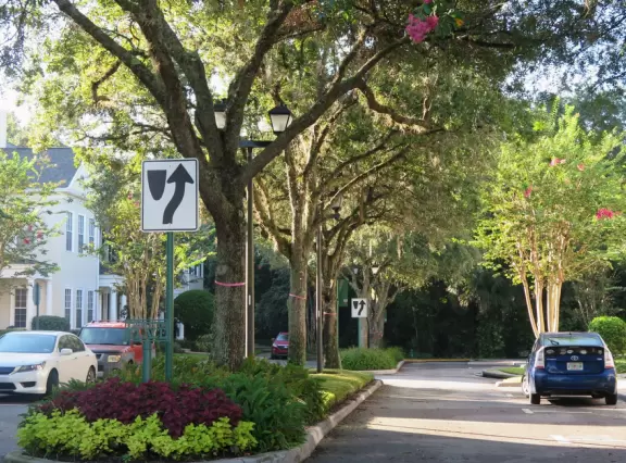 Walk past lake with cypress trees, and down three culdesacs with mansions.