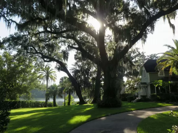 Sweet little path around Lake Davis in downtown Orlando.