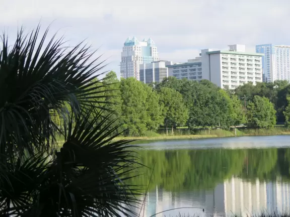 Sweet little path around Lake Davis in downtown Orlando.