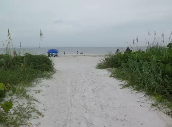 Cozy beach with pretty beachhouses and lots of wildlife.