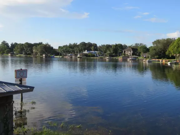 Lovely walk under huge oaks with tropical vines, past docks and lake views.