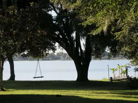Lovely walk under huge oaks with tropical vines, past docks and lake views.