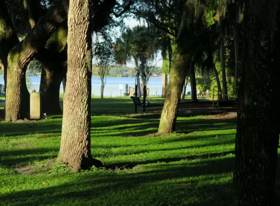 Lovely walk under huge oaks with tropical vines, past docks and lake views.
