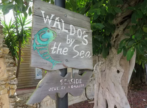 Fantastic area by the ocean, with lifeguarded beach, awesome playground, farmers market, and cool cafes!