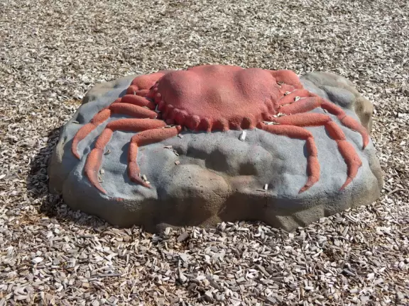 Fantastic area by the ocean, with lifeguarded beach, awesome playground, farmers market, and cool cafes!