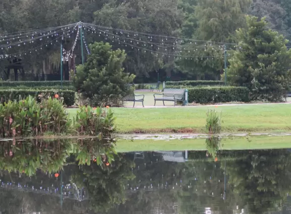 Fantastic shady walk past three lakes, mansions, wildlife, and Celebration Town Center.