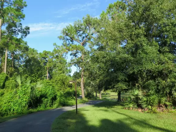 Sometimes shady path past forest and wildflowers between Disney Springs and Old Key West Resort.