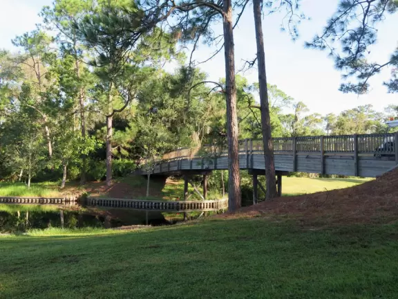 Sometimes shady path past forest and wildflowers between Disney Springs and Old Key West Resort.