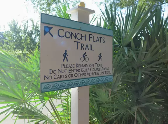 Sometimes shady path past forest and wildflowers between Disney Springs and Old Key West Resort.