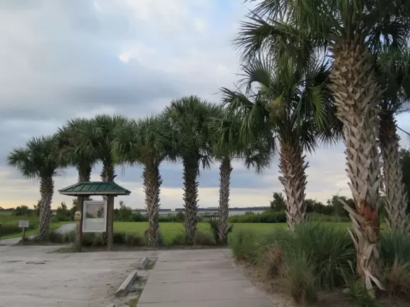 Two piers on Lake Tohopekaliga.