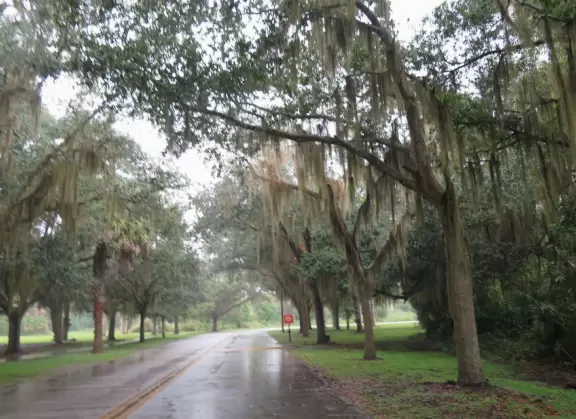 Lovely spot on the river!