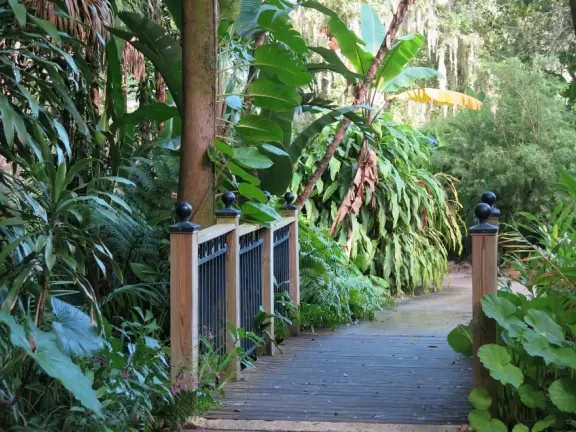 Beautiful gardens surrounding a historical house on a lake with lovely cool breezes. Best in summer when the tropical plants look happy.