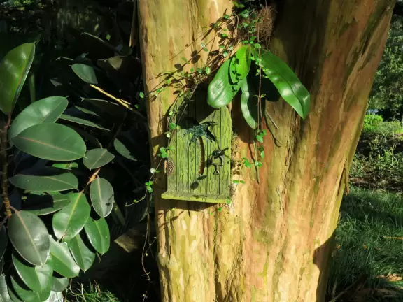 Beautiful gardens surrounding a historical house on a lake with lovely cool breezes. Best in summer when the tropical plants look happy.