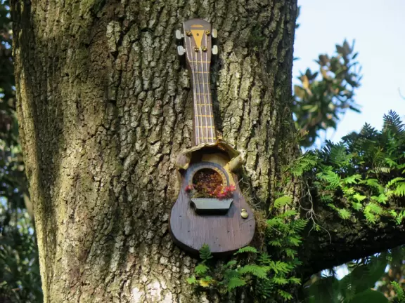 Beautiful gardens surrounding a historical house on a lake with lovely cool breezes. Best in summer when the tropical plants look happy.
