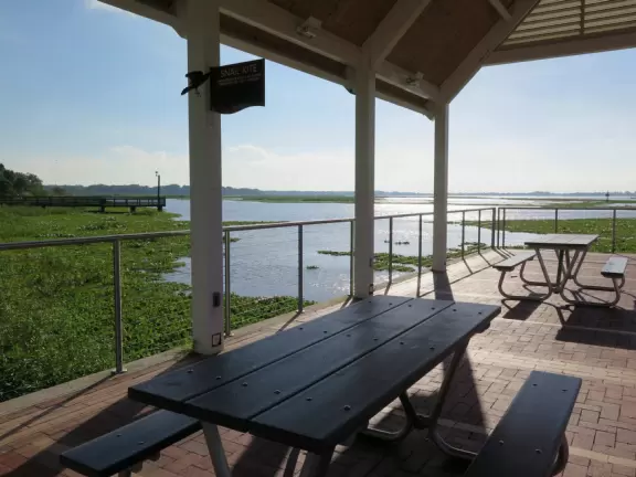 Beautiful lakefront park with wide walking paths, lighthouse, water lilies and other water flowers, birds, large playgrounds, and marina.