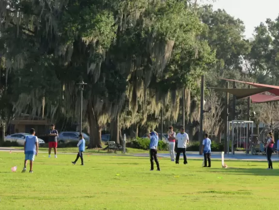 Beautiful lakefront park with wide walking paths, lighthouse, water lilies and other water flowers, birds, large playgrounds, and marina.
