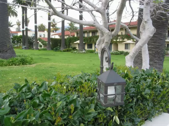 Things feel open and expansive under the skyhigh palms at West Beach boardwalk!