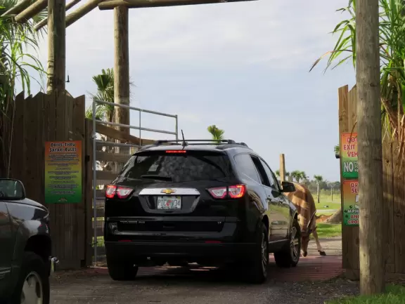 Fantastic place to see wonderful animals that walk right up to your car! Pure delight!