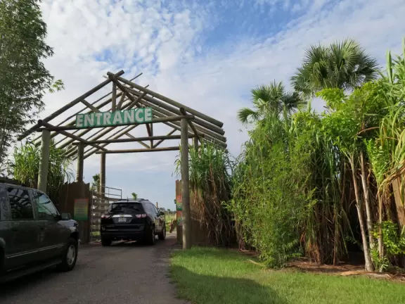 Fantastic place to see wonderful animals that walk right up to your car! Pure delight!