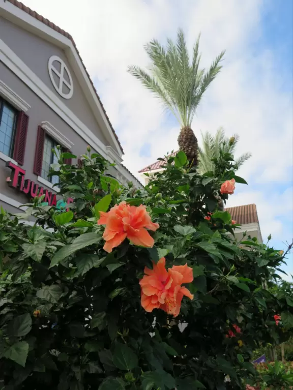 Italian-style shopping center with Publix supermarket, Starbucks coffee, Huey Magoo's Chicken, and Barnes and Noble Bookstore.