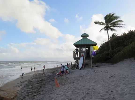 Beautiful narrow beach with lifeguard shack. Beach park has many coconut and banyan trees.