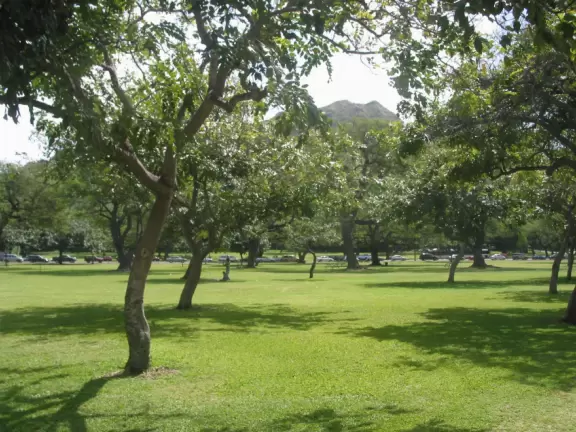 Huge park in Waikiki across from the beach where groups gather to play ball and fly kites.